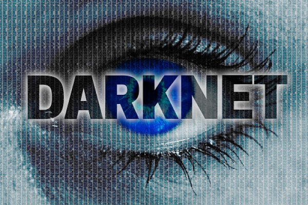 Kraken darknet to run