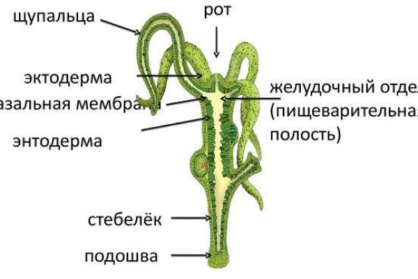 Кракен 15 сайт